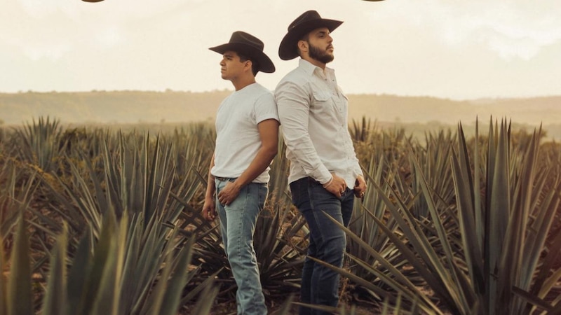 Dos hombres en un campo de agave