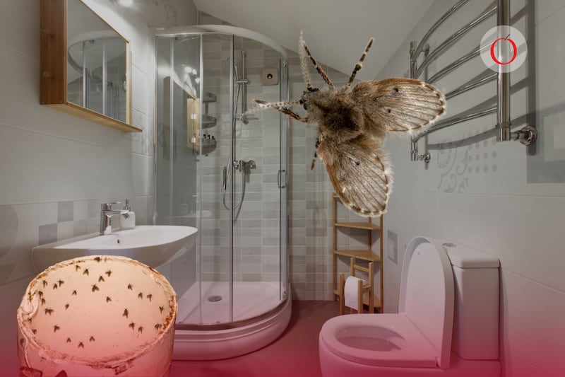 ¿Por qué aparecen mosquitas en los baños y cómo puedo repelerlas?