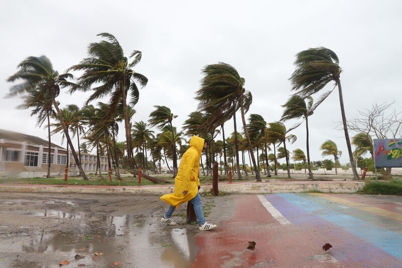 Lluvia y viento en una calle con palmeras