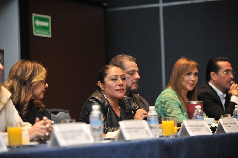 Conferencia de prensa sobre la violencia contra las mujeres