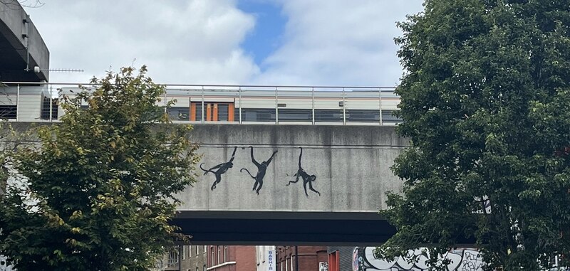 Monos colgando de un puente