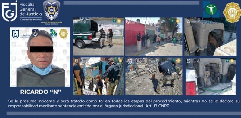 Title: Detienen a presunto ladrón de perros en la Ciudad de México