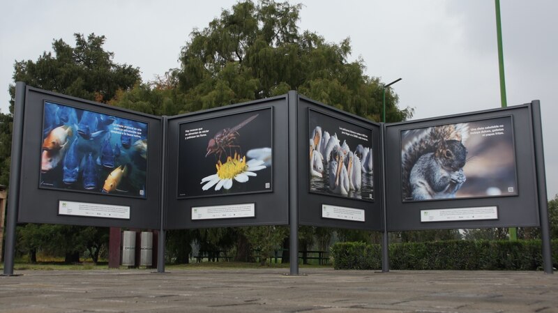 Biodiversidad en la ciudad