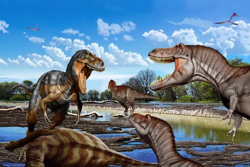 El dinosaurio Nanotyrannus lancensis no era un T.rex adolescente sino otra especie más pequeña