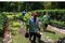 Naucalpan recibe 4 mil árboles de la  Semarnat para reforestar sus bosques