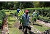 Naucalpan recibe 4 mil árboles de la  Semarnat para reforestar sus bosques