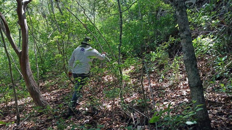 Explorando la naturaleza