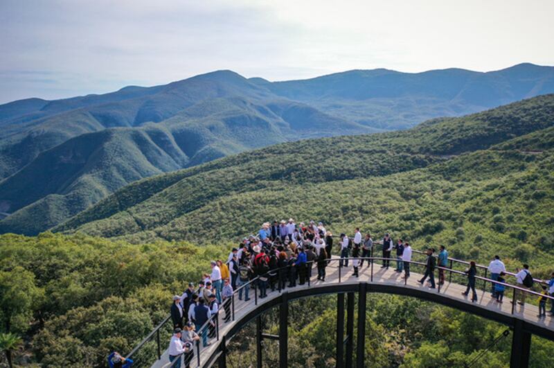 Un grupo de personas en un puente colgante sobre un bosque