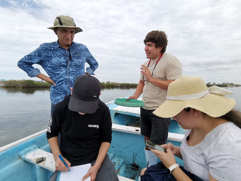 Científicos estudian la biodiversidad en un manglar.