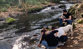 Urge rescatar nuestros ríos urbanos