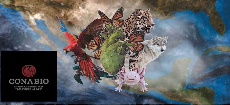 Biodiversidad en México