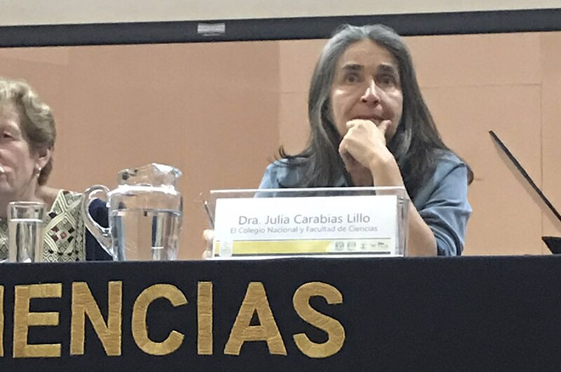 La Dra. Julia Carabias Lillo, nueva presidenta de El Colegio Nacional