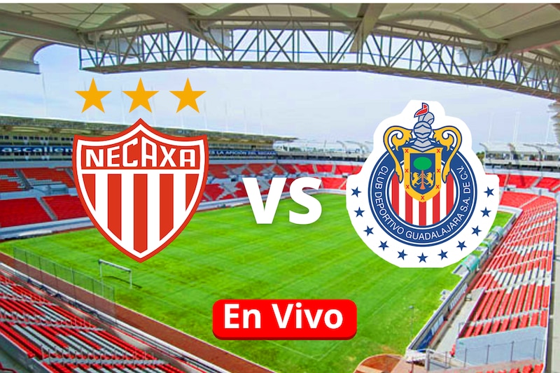 Partido Necaxa vs Chivas
