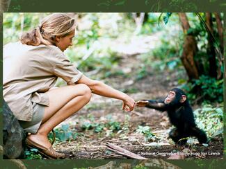 “Jane Goodall nos enseñó que el conocimiento verdadero nace de la empatía y de la humildad”