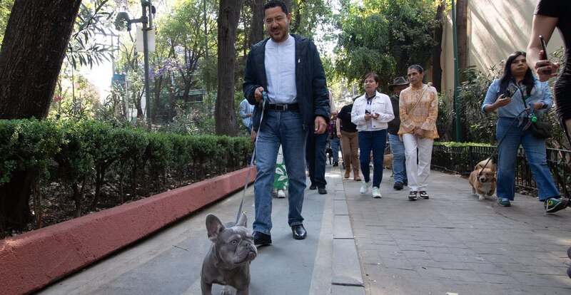 Un grupo de personas paseando a sus perros