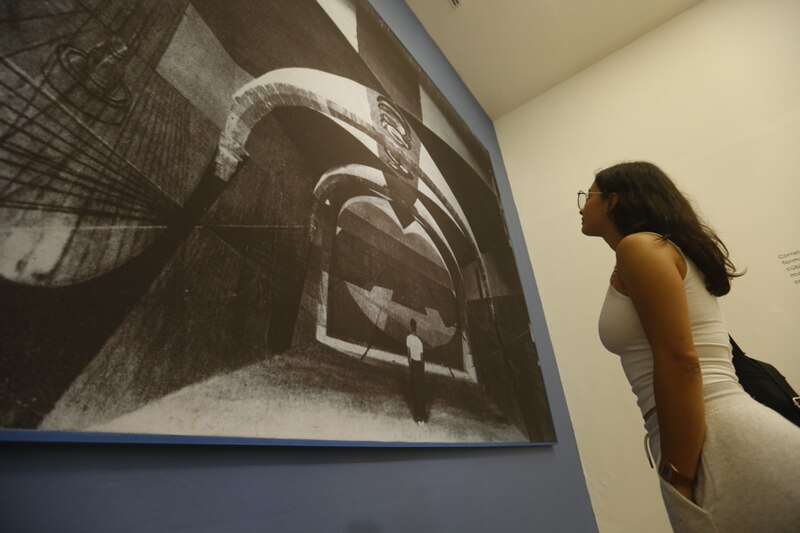 Mujer mirando una pintura en un museo