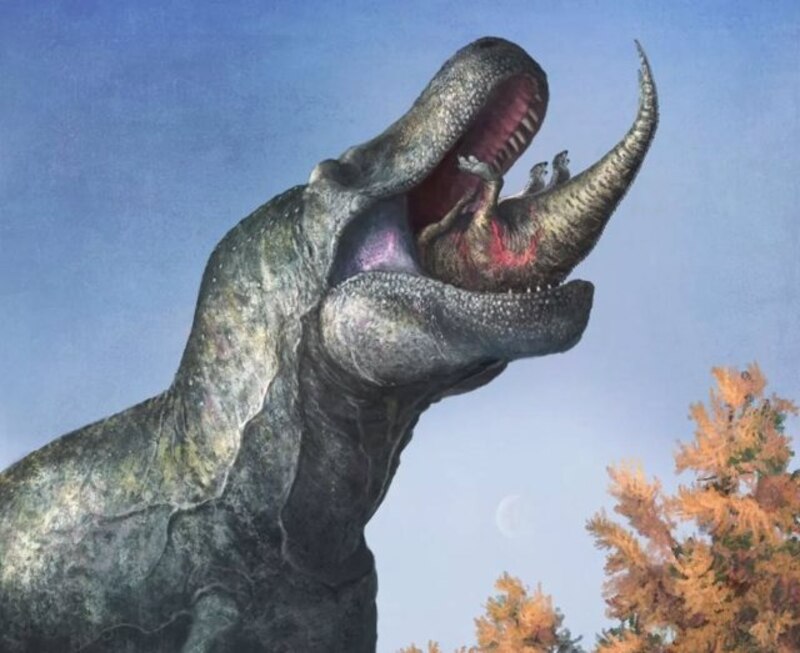 Un dinosaurio Tiranosaurio Rex devorando a un Triceratops
