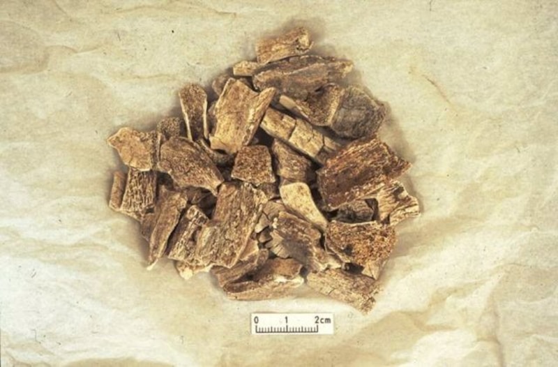 Fragmentos de cerámica prehistórica