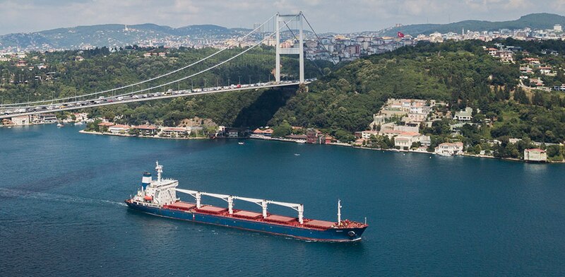 Un gran barco carguero pasa por debajo de un puente colgante.