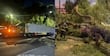 Calzada Ignacio Zaragoza bloqueada en dirección a Puebla por árbol derribado en carriles centrales