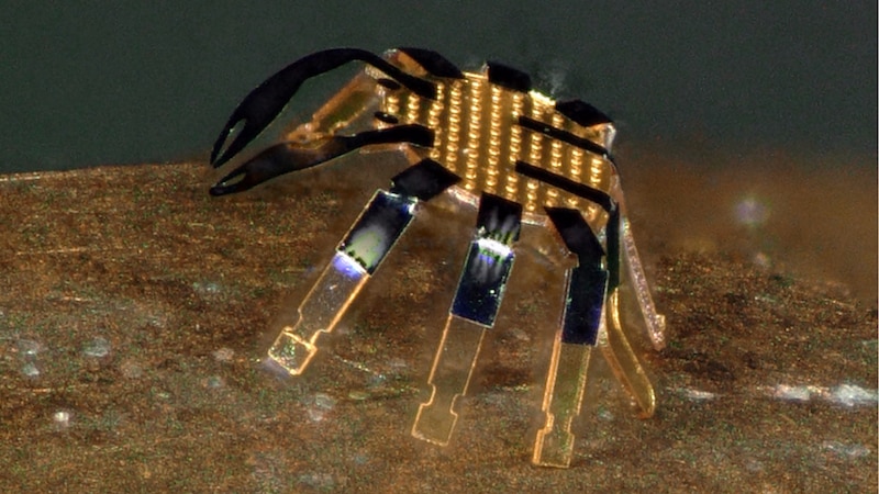 Microbot con forma de cangrejo