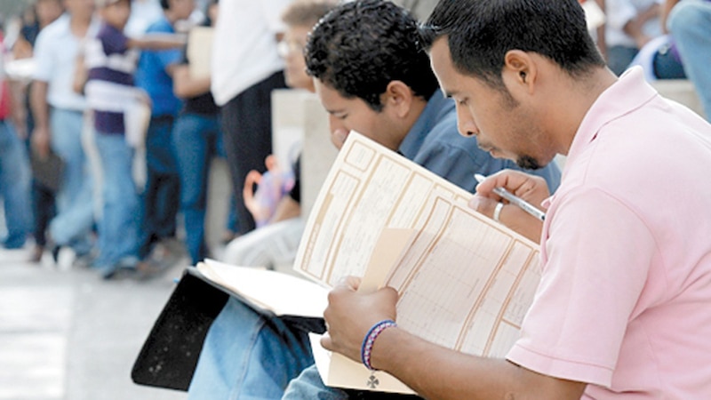 Jóvenes estudiantes universitarios leyendo apuntes