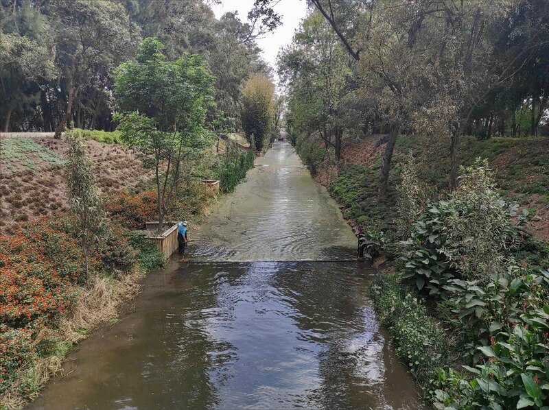 Río en el parque
