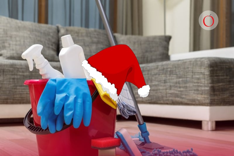 Aguinaldo Trabajadoras del Hogar.