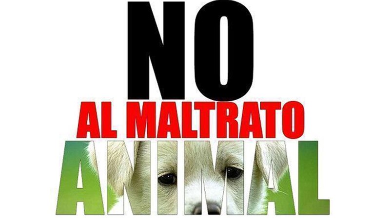 No al maltrato animal