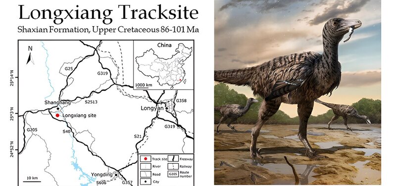 Huellas de dinosaurios en Longxiang