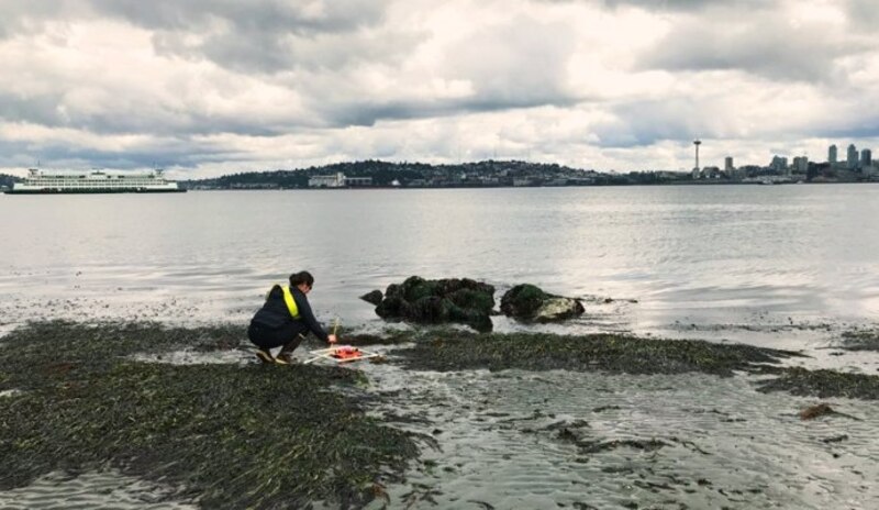 Científica recogiendo muestras de agua en la playa
