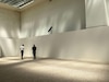  Cildo Meireles instala en París su crítica colonial a través del minimalismo