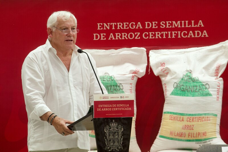 Title: Entrega de semilla de arroz certificada