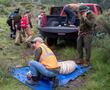 Muere tigre de bengala que escapó de refugio en Tepetlaoxtoc... ¿qué pasó en el operativo?