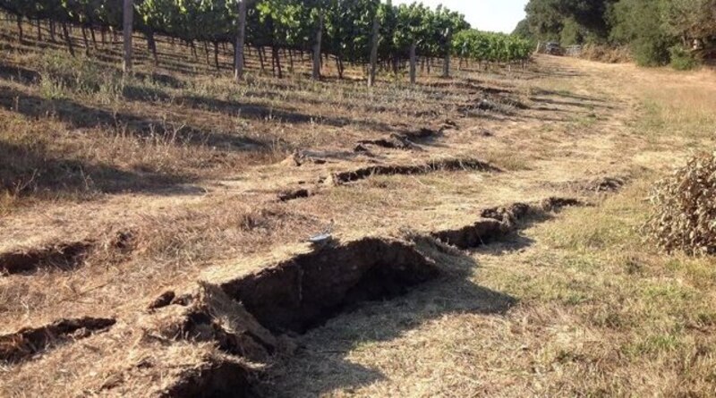 Sequía en el campo