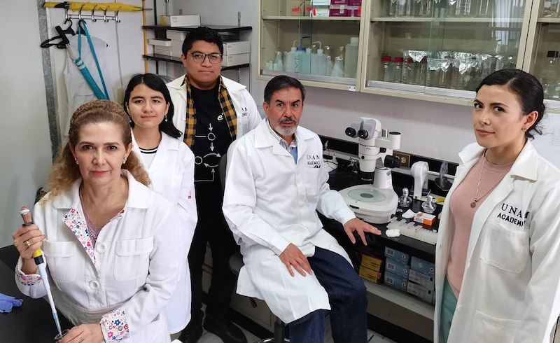 Investigadores de la UNAM desarrollan nuevo método para detectar el cáncer de mama