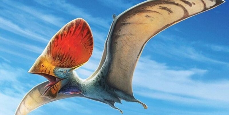 Quetzalcoatlus, el dinosaurio volador más grande de todos los tiempos