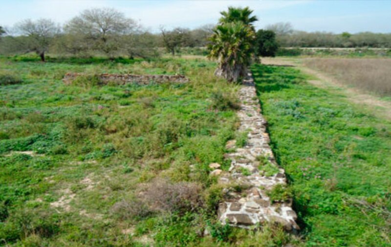 Ruinas mayas en medio de la selva