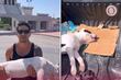 Violencia animal en Tulum: muere perro envenenado en unidad deportiva; vecinos exigen justicia por “Wakax”