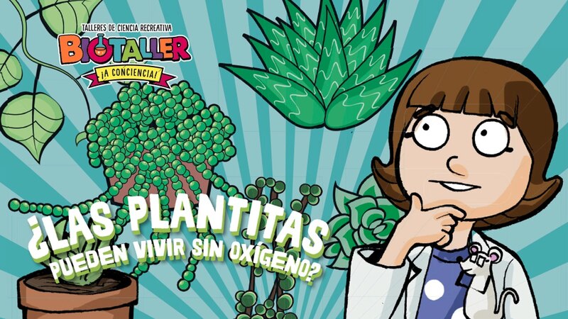 ¿Pueden vivir las plantas sin oxígeno?