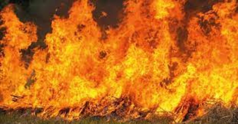 Incendios forestales