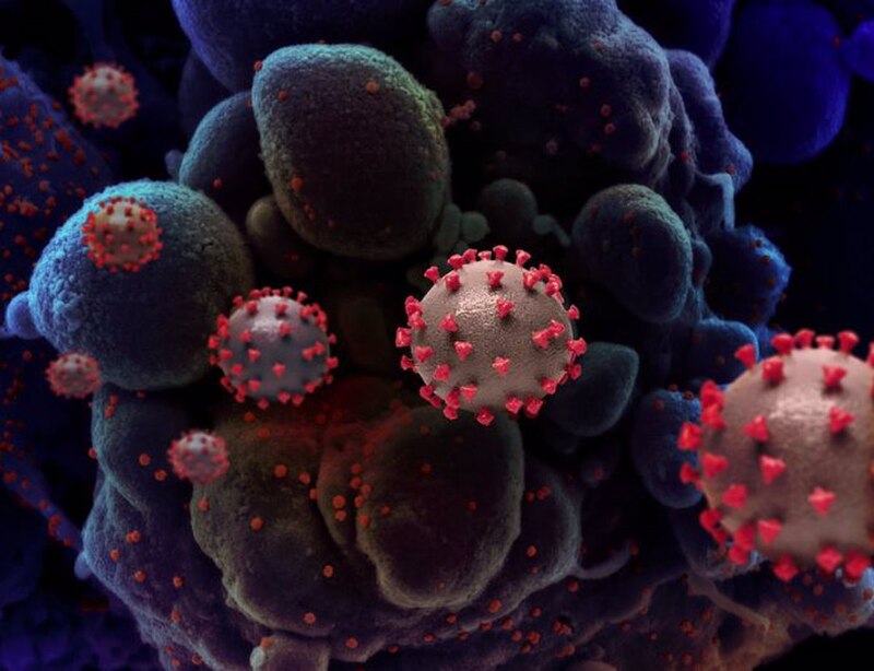 Coronavirus