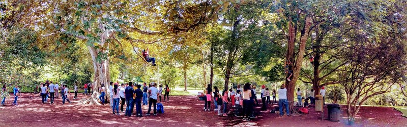¡Diversión en el parque!