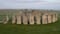 Un diente de vaca hallado en Stonehenge ayuda a descifrar los misterios de su construcción  