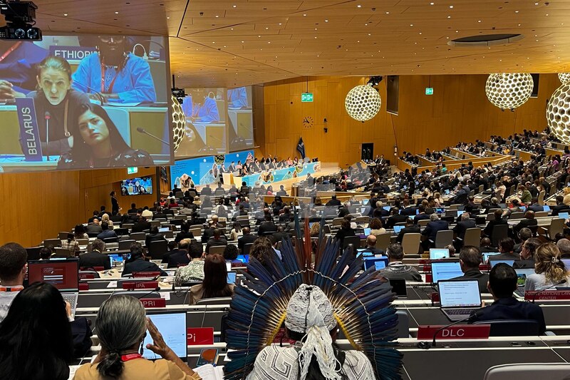 La Asamblea General de la ONU aprueba la Declaración sobre los derechos de los pueblos indígenas