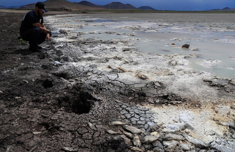 La sequía en California deja al descubierto un cementerio de peces