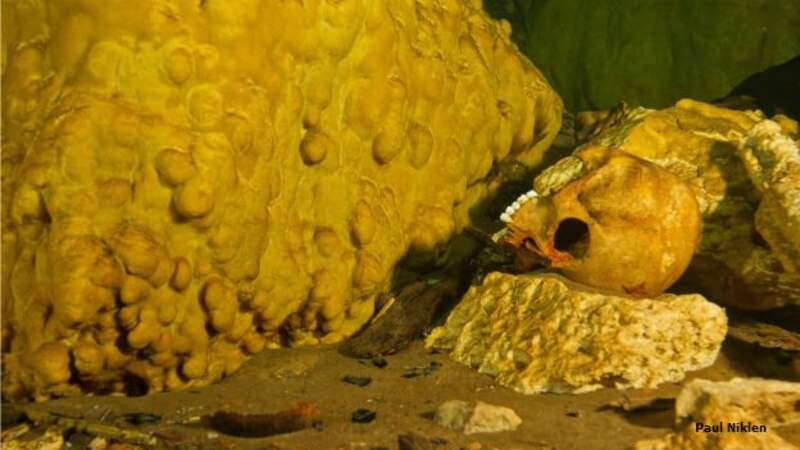 Calavera en una cueva