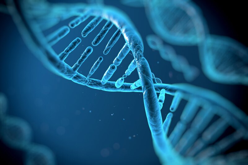 Estructura del ADN