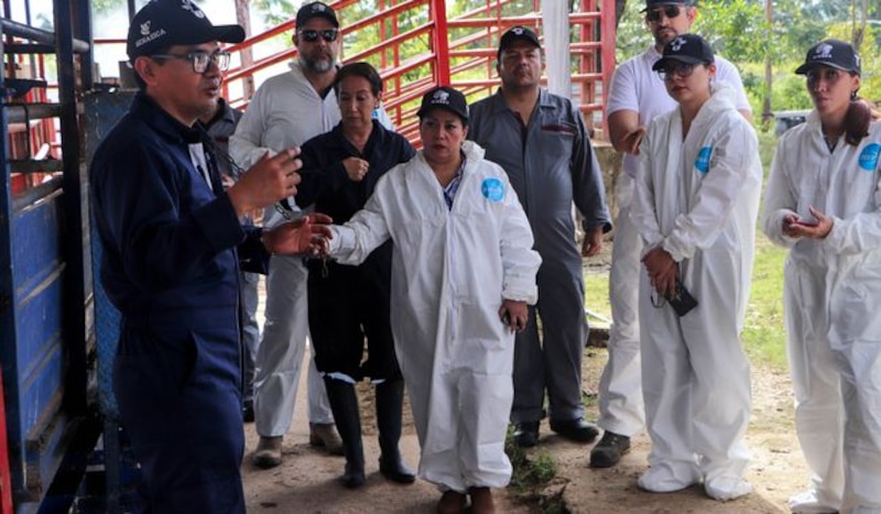 Veterinarios y ganaderos en curso presencial impartido por Senasica sobre el gusano barrenador del ganado