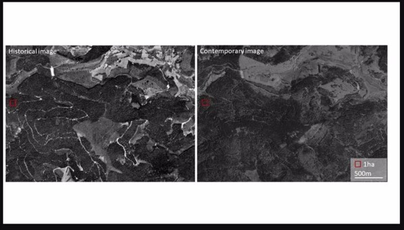 Comparación de imágenes históricas y contemporáneas de la deforestación en la Amazonía